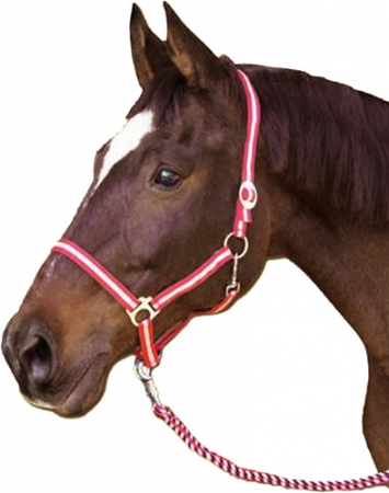 Ohlávka Hippo nylon