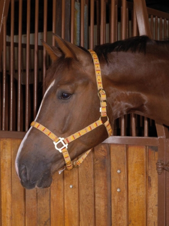 Ohl�vka NAVAJO s v��ivkou